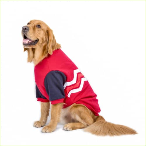 habit grande taille pour chiens Automne Et Hiver Rouge / Xxxl