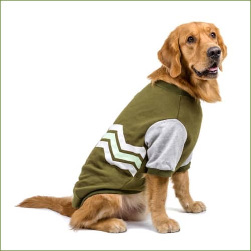 vêtement canin Automne Et Hiver Vert / Xxxl