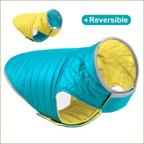 Veste Pour Bouledogue Français Imperméable Manches Courtes Vert / 2Xl