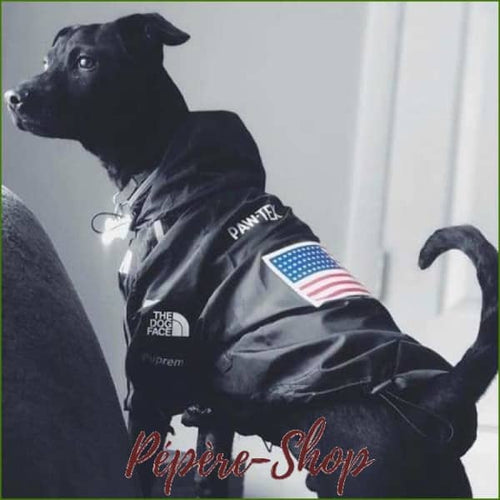 Veste pour chien coupe vent à capuche - -PEPERE SHOP