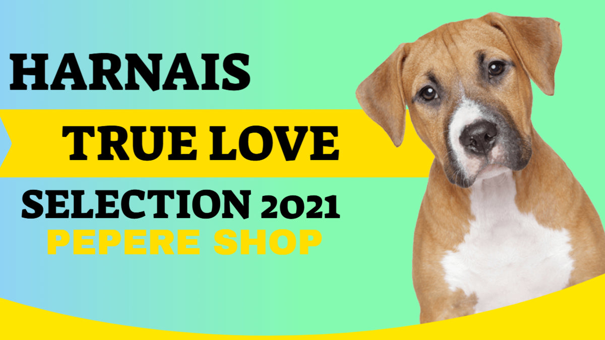 Harnais TRUE LOVE - sélection 2021 - PEPERE SHOP