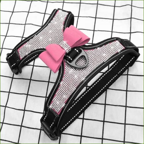 Harnais décoratif pour petit chien avec verroterie - détail décoration
