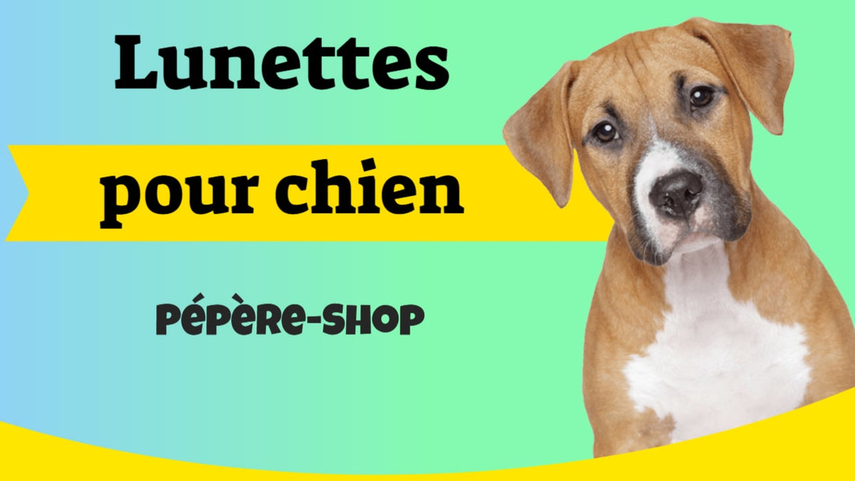 Vidéo lunettes pour chien de Pépère-Shop