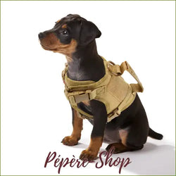 Petit Harnais Tactique En Toile Militaire pour chien