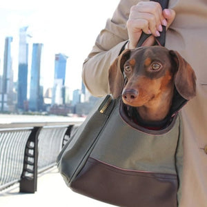 sac de transport pour petit chien