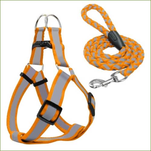 Orange / S