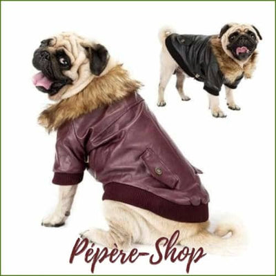 Blouson en cuir pour chien , modèle doublée en polaire , design aviateur - -PEPERE SHOP