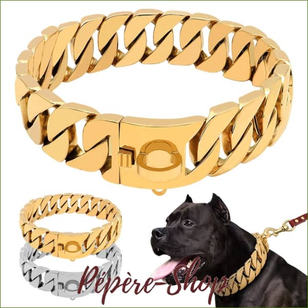 Collier en chaine pour chien type molosse pour promenade et dressage - -PEPERE SHOP