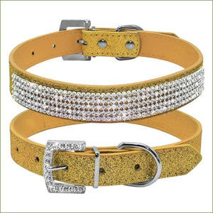 Collier strass petit chien chihuahua, yorkshire ou bichon Gold / M