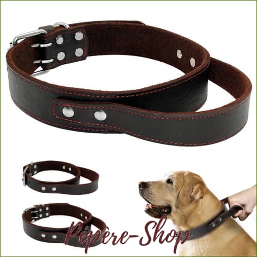 Collier cuir avec poignée pour chien - haut de gamme - -PEPERE SHOP