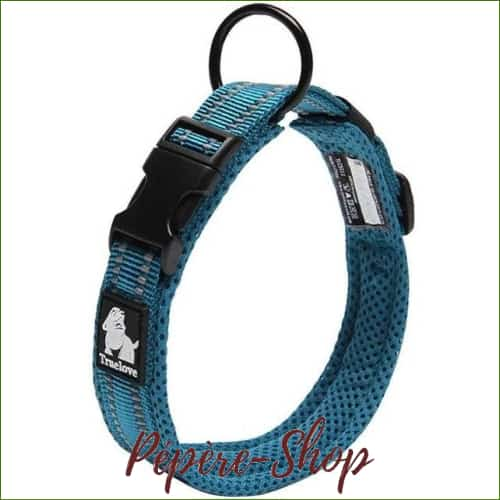 Collier TRUE LOVE réfléchissant pour chien, en nylon - blue / XS-PEPERE SHOP