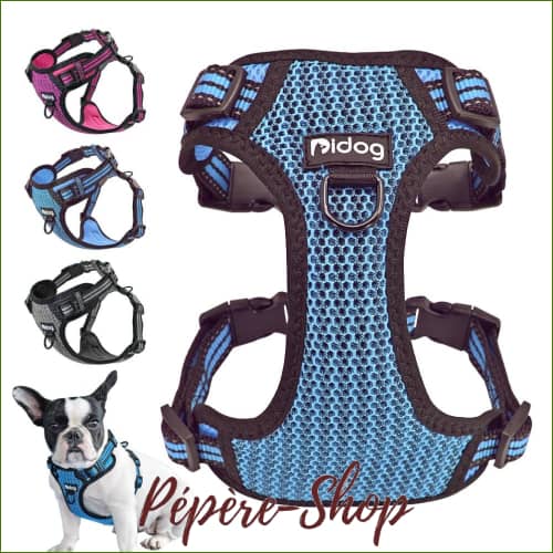 Harnais anti-traction pour petit chien MIDOG, souple et respirant - -PEPERE SHOP