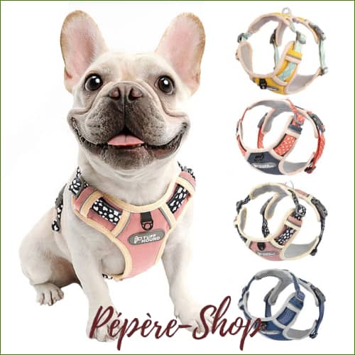 Harnais chien original - design fantaisie unique et coloré - -PEPERE SHOP