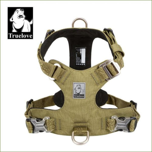 Harnais double attache avant et arrière