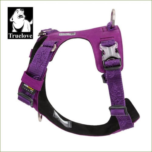 harnais no pull pour animaux de compagnie