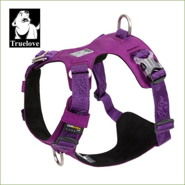 Purple / XL