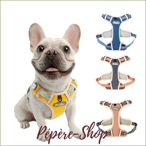 Harnais en H pour chien - en nylon réfléchissant et anti-traction - -PEPERE SHOP