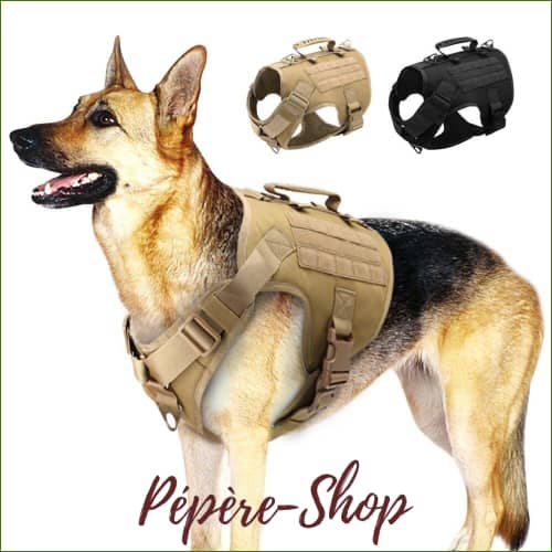 Harnais Militaire Pour Moyen Ou Gros Chien-Ergonomique-En Nylon