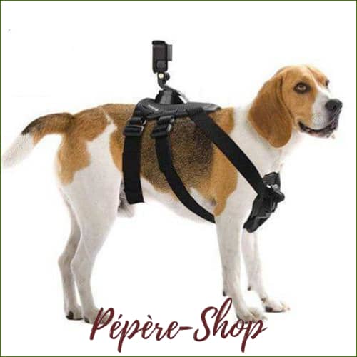 Harnais Porte Caméra Gopro Pour Chien