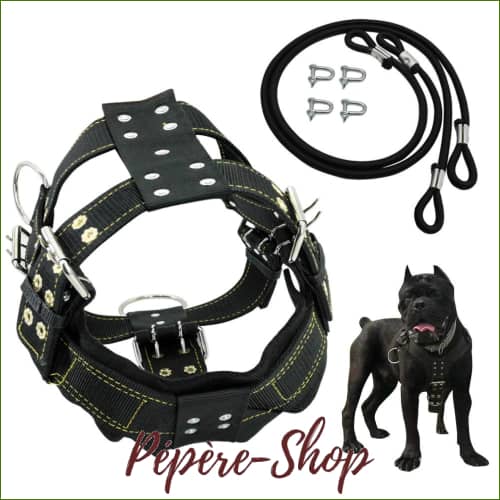 Harnais pour pitbull - harnais de traction et anti traction robuste en nylon - -PEPERE SHOP