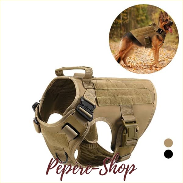 Harnais tactique pour entrainement et formation pour grand chien - -PEPERE SHOP