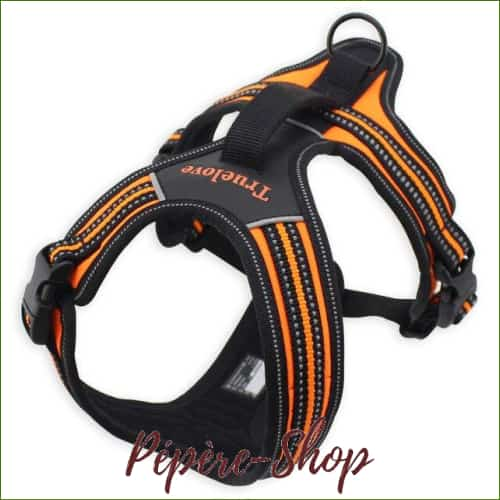 Harnais TRUE LOVE - modèle FOREST pour grand chien - Orange / XS 43-49cm-PEPERE SHOP