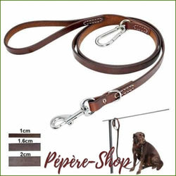 Laisse en cuir pour gros chien avec anneau en acier couleur Marron - -PEPERE SHOP