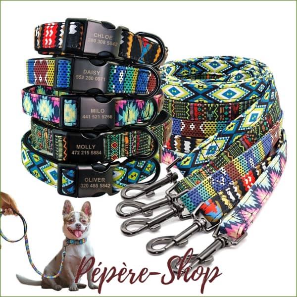 Collier pour chien avec prénom et laisse assortie MIDOG - -PEPERE SHOP