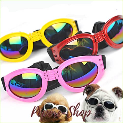 Lunettes Pliables Et Ajustable Pour La Protection Oculaire Dun Petit Chien