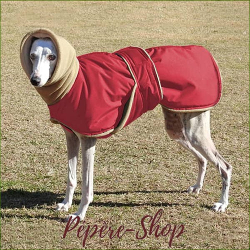 Manteau pour lévrier - modèle imperméable avec capuche - -PEPERE SHOP