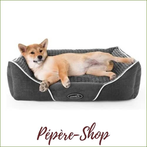 Petdream:  Panier Pour Beagle Chiot Ou Adulte - Imperméable Et Douillet Gris / S-53X43X18Cm Panier