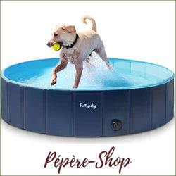 Piscine Pour Grand Chien Pliable Saison Dété