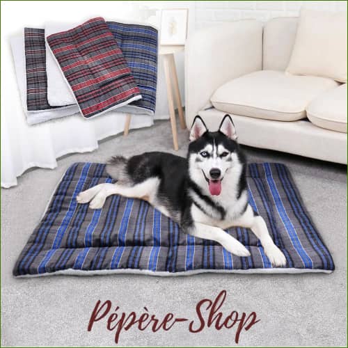 Tapis pour chien pas cher - modèle résistant et lavable - -PEPERE SHOP