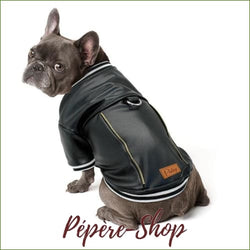 Veste en cuir pour carlin ou bouledogue français - Black / XL-PEPERE SHOP