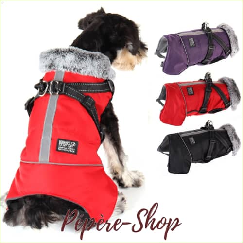 Veste Grand Chien Imperméable Manteau