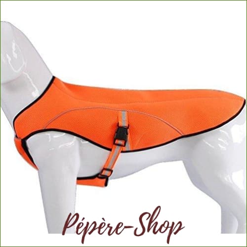 Veste rafraichissante pour chien  TRUELOVE modèle haut de gamme - orange / L-PEPERE SHOP